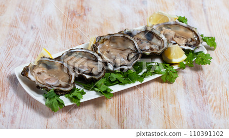 Opened raw oysters with lemon and parsley Opened raw oysters with lemon and parsley 110391102