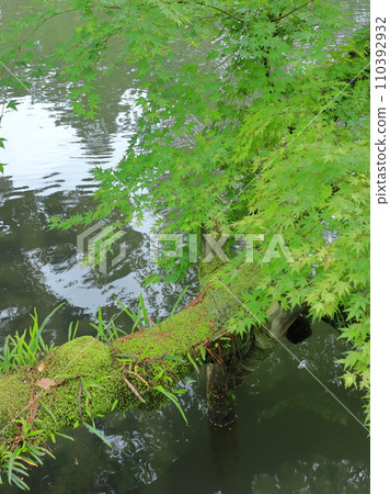 Kenrokuen Kamoike 110392932