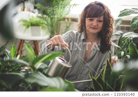 A young woman enjoys caring for flowers. Watering indoor plants and admiring them. Sansevieria. 110393140