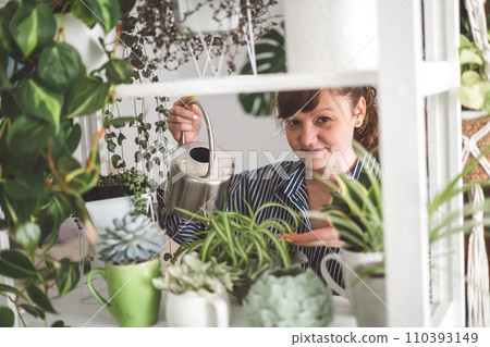 A young woman enjoys caring for flowers. Watering indoor plants and admiring them. A young woman enjoys caring for flowers. Watering indoor plants and admiring them. 110393149