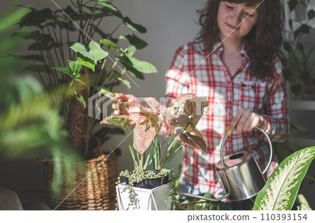 A young woman enjoys caring for flowers. Watering indoor plants and admiring them. A young woman enjoys caring for flowers. Watering indoor plants and admiring them. 110393154