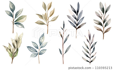 Stylish plant watercolor illustration with gentle colors 110393213