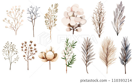 以淺色水彩繪製的花朵插圖 110393214