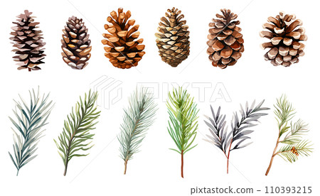 Watercolor illustration set of pine cones and pine branches Watercolor illustration set of pine cones and pine branches 110393215