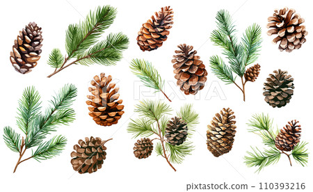 松果和松枝的水彩插圖集 松果和松枝的水彩插圖集 110393216