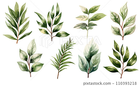 Watercolor illustration set of green stylish plant branches 110393218