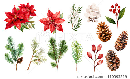Winter botanical watercolor illustration set of poinsettia and pine cones 110393219
