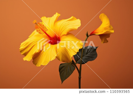 AI-generated content. Blossom plant hibiscus flora nature green background tropical red floral flowers AI-generated content. Blossom plant hibiscus flora nature green background tropical red floral flowers 110393565