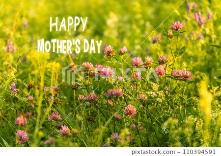Blooming flowers under the bright sunbeams with a festive Happy Mothers Day text overlay Blooming flowers under the bright sunbeams with a festive Happy Mothers Day text overlay 110394591