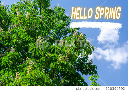 Spring banner. Hello, Spring. The beginning of the spring season. Blooming apple trees Spring banner. Hello, Spring. The beginning of the spring season. Blooming apple trees 110394592