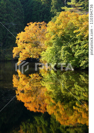 埼玉縣入間郡毛呂山町宿谷 - 紅葉名勝鐮北湖畔的紅葉和水鏡 110394736
