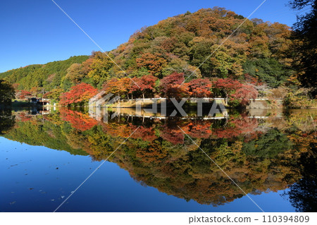埼玉縣入間郡毛呂山町宿谷 - 紅葉名勝鐮北湖畔的紅葉和水鏡 埼玉縣入間郡毛呂山町宿谷 - 紅葉名勝鐮北湖畔的紅葉和水鏡 110394809