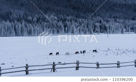冬季雪景 110396200