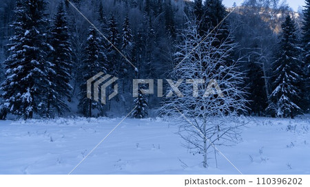 冬季雪景 110396202