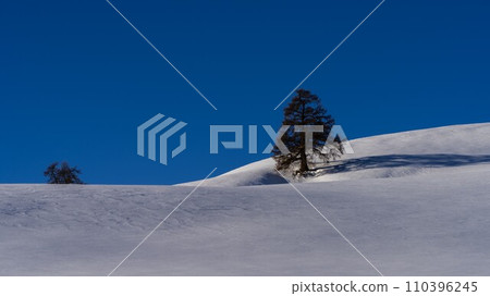 冬季雪景 冬季雪景 110396245