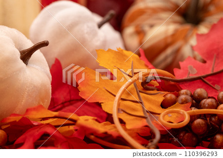 HDR photo of white Pumpkins on leafs HDR photo of white Pumpkins on leafs 110396293