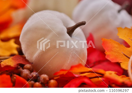 HDR photo of white Pumpkins on leafs 110396297