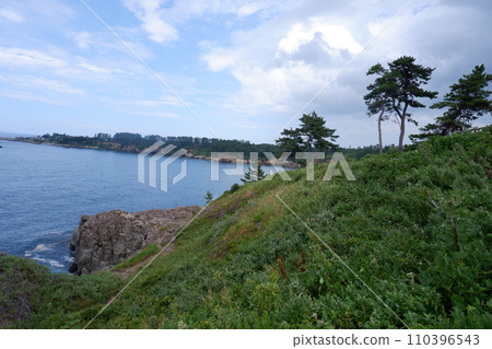 Higashi inobu of Fukui 110396543