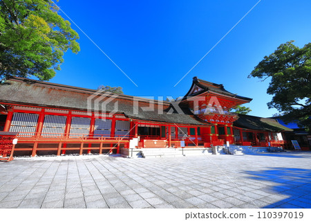 [Oita Prefecture] The upper shrine of Usa Shrine in sunny weather 110397019