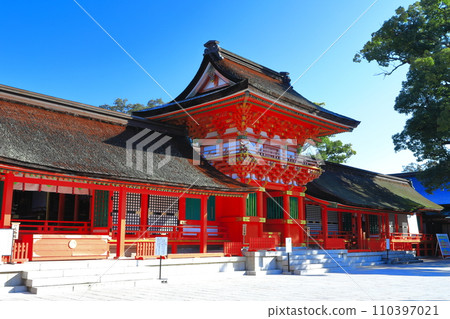[Oita Prefecture] The upper shrine of Usa Shrine in sunny weather 110397021