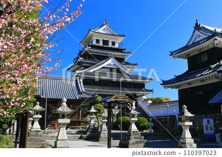 [Oita Prefecture] Nakatsu Castle and red plum blossoms in fine weather 110397023