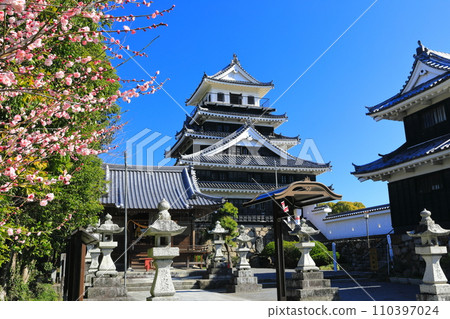 [Oita Prefecture] Nakatsu Castle and red plum blossoms in fine weather 110397024