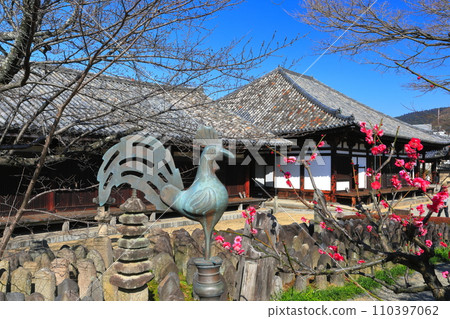 [Nara Prefecture] Gokurakubo Main Hall and Zen Room at Gangoji Temple with plum blossoms 110397062