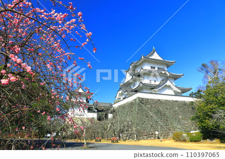 [Mie Prefecture] Plum Blossoms and Iga Ueno Castle 110397065
