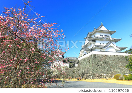 [三重縣]梅花和伊賀上野城 110397066