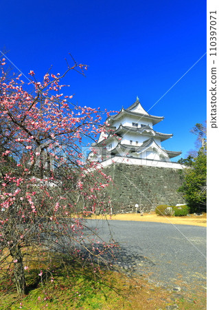 [三重縣]梅花和伊賀上野城 110397071