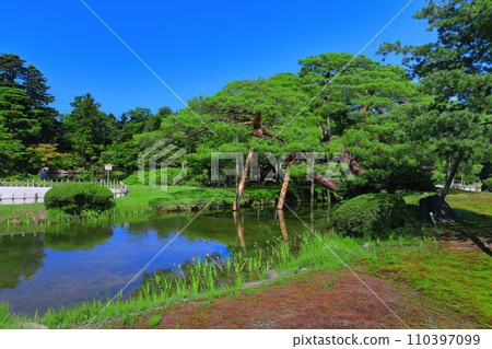[石川縣] 晴天的兼六園 雪吊唐崎松 110397099