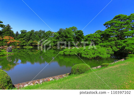 [Ishikawa Prefecture] Kenrokuen in fine weather Yukitsuri Karasakimatsu 110397102