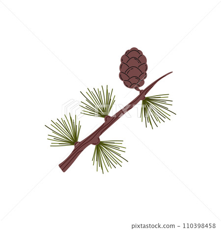Branch of conifer tree with needles and cone, vector taiga evergreen pine tree fir, cedar or spruce twig forest plant 110398458