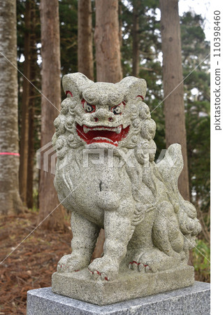 Photographing the guardian dogs of Shinmei Shrine in winter in Assabu Town, Hokkaido 110398460