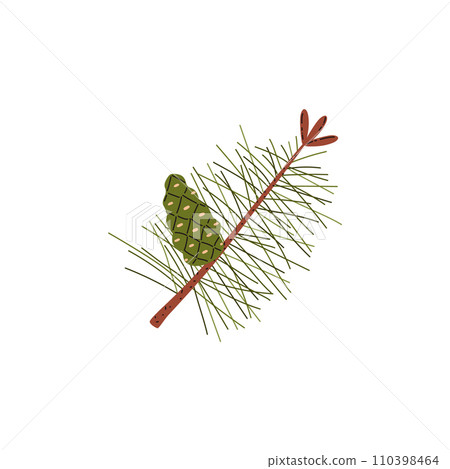 Branch of pine tree with green needles and the cone, vector taiga evergreen tree fir, cedar or spruce twig forest plant 110398464