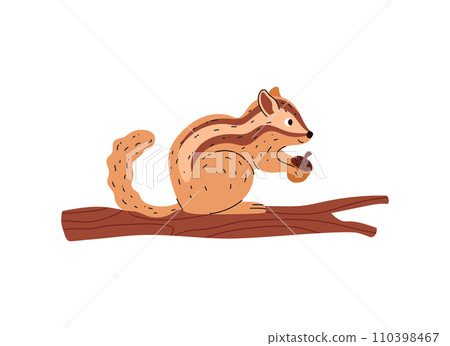 Chipmunk sit on tree branch and hold acorn in his paws vector illustration 110398467