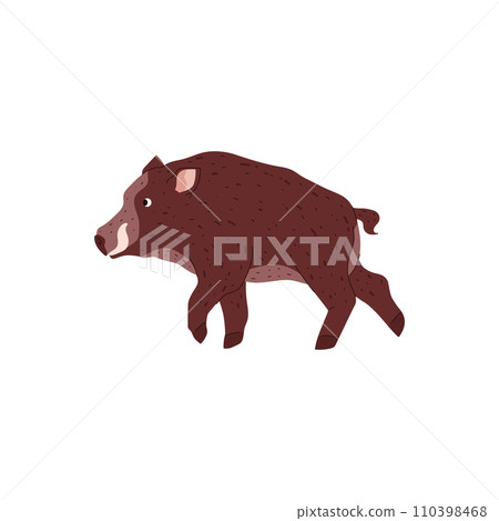 Wild boar vector isolated illustration, forest animal of the tundra and taiga, nature creature, wild hog boar with tusks Wild boar vector isolated illustration, forest animal of the tundra and taiga, nature creature, wild hog boar with tusks 110398468