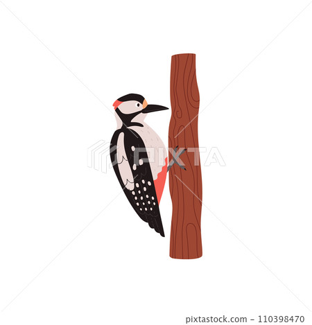 Woodpecker bird on tree trunk, cartoon taiga forest bird, vector wildlife nature, woodland animal isolated on white Woodpecker bird on tree trunk, cartoon taiga forest bird, vector wildlife nature, woodland animal isolated on white 110398470