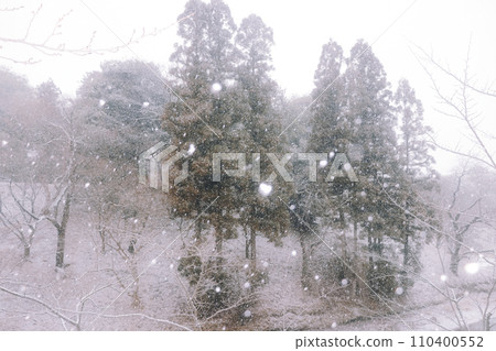 下雪的森林 下雪的森林 110400552