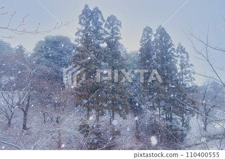 上田城跡公園雪景 上田城跡公園雪景 110400555