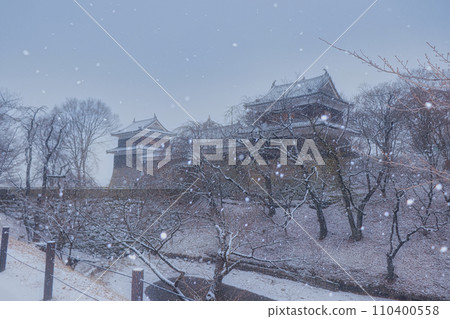 上田城跡公園雪景 上田城跡公園雪景 110400558