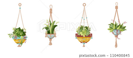 Houseplant and macrame plant growing in pots. Set of handmade home decorations macrame plants isolated on white background. Cartoon flat illustration. Houseplant and macrame plant growing in pots. Set of handmade home decorations macrame plants isolated on white background. Cartoon flat illustration. 110400845