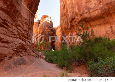 Narrow Path Rock Formations in Fiery Furnace Narrow Path Rock Formations in Fiery Furnace 110401302
