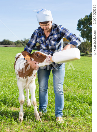 Female employee feeding newborn calf on grass pasture 110402053