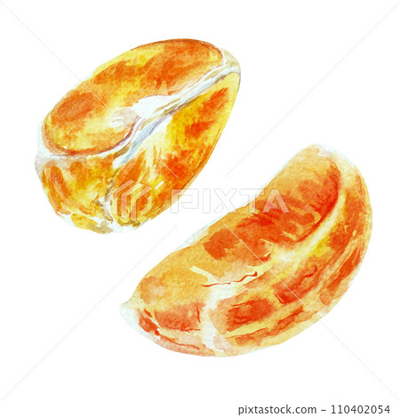 Paint of orange fruit with leaves. Watercolor hand-drawn elements. Isolated on white background. Delicious fruit clip-art illustration. Used on labels, napkins, towels, tableware, package Paint of orange fruit with leaves. Watercolor hand-drawn elements. Isolated on white background. Delicious fruit clip-art illustration. Used on labels, napkins, towels, tableware, package 110402054