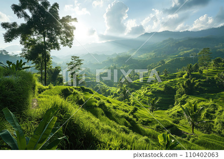 green tropical mountain landscape with terraced fields green tropical mountain landscape with terraced fields 110402063