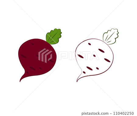Beetroot coloring book. Ripe red beetroot. Fresh vegetable garden. Beetroot image for children s coloring book. Vector illustration on a white background Beetroot coloring book. Ripe red beetroot. Fresh vegetable garden. Beetroot image for children s coloring book. Vector illustration on a white background 110402250