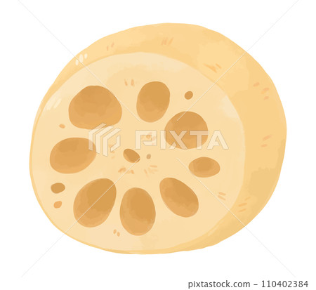 Hand-drawn style illustration of lotus root 110402384