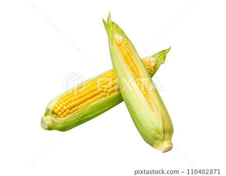 Corn on white 110402871