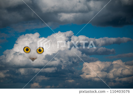 concept image of an animal on a blue sky cloud 110403076